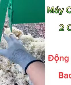 MÁY THÁI CHUỐI CỬA ĐỨNG VÀ MÁY CỬA NGANG GIÁ CHỈ 1 TRIỆU - chi tiết máy 2
