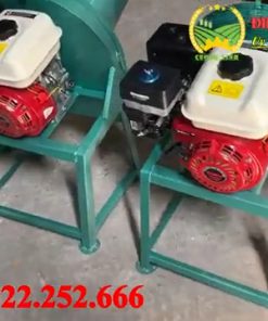 Máy thái chuối mịn chạy xăng GX100 GX200 – giải pháp linh hoạt cho chăn nuôi