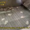 Máy rửa ruột hàu băng tải công nghiệp có sục khí