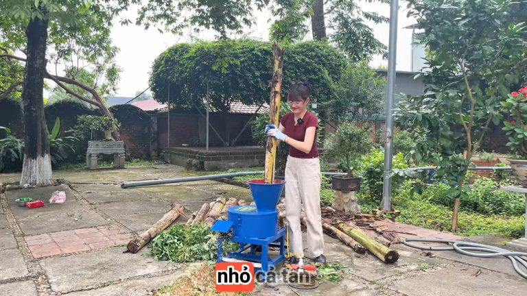 (427) Tại Sao Chiếc Máy Băm Chuối Giá Rẻ Này Có Thể Đang Khiến Bạn Tiết Kiệm Chi Phí Hơn_