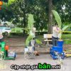 Giá Mới 3 Dòng Máy Băm Chuối 1 Pha 1 Tấn/Giờ