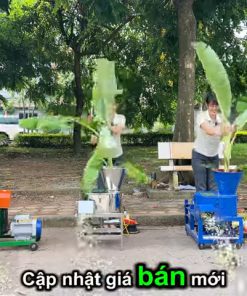 Giá Mới Nhất 3 Dòng Máy Băm Chuối 1 Pha – Băm 1 TấnGiờ, Giá Rẻ