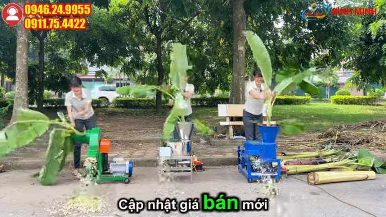 Giá Mới 3 Dòng Máy Băm Chuối 1 Pha 1 Tấn/Giờ (427) 🔥Giá Mới Nhất 3 Dòng Máy Băm Chuối 1 Pha – Băm 1 Tấn_Giờ, Giá Rẻ ⚡ Ưu Đãi Cho Mọi Hộ Chăn Nuôi
