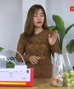 Máy hút chân không DZ300B- hút khô, hút ướt và hàn miệng túi