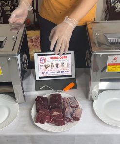 Máy Thái Thịt Bò Làm Bò Khô TZ180