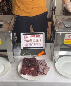 Máy Thái Thịt Bò Làm Bò Khô mã TZ180 - chi tiết máy 3