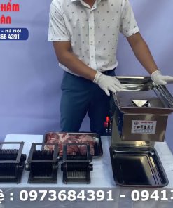 Máy thái thịt chín & máy thái thịt đông lạnh công nghiệp 2.2kW