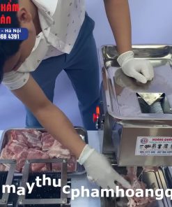 Máy thái thịt chín & máy thái thịt đông lạnh 2.2kW - chi tiết máy 3