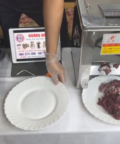 Máy thái thịt bò, bắp bò mã KL85 - chi tiết máy 2