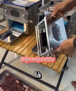 Máy thái thịt tươi sống mã AC-500 để bàn - chi tiết máy 3