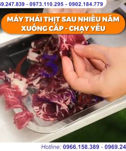 Máy Thái Thịt Bò JZ 2mm