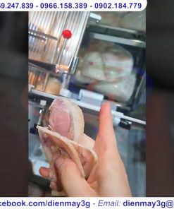 Máy Thái Thịt Chân Giò Tự Động - chi tiết máy 2