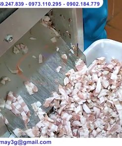 Máy Thái Thịt Lợn, Bò, Bê Công Suất 2.2Kw - chi tiết máy 2