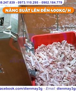 Máy Thái Thịt Tươi Dạng Lát, Sợi, Hạt Lựu 2.5 - chi tiết máy 3