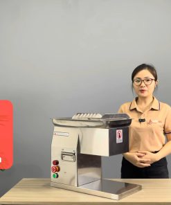 Máy thái thịt mã QX250 - chi tiết máy 2