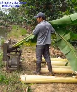 Máy Thái Chuối Cả Cây, Cỏ Voi, Thân Ngô