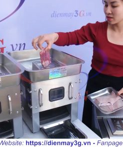 MÁY THÁI THỊT LỢN, BÒ, BÊ, BÌ, TAI, RAU CỦ THAY DAO - chi tiết máy 2