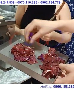 Máy Thái Thịt Thay Dao HD-90