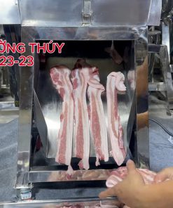 Máy Thái Thịt Tươi Sống Công Suất Lớn - chi tiết máy 3