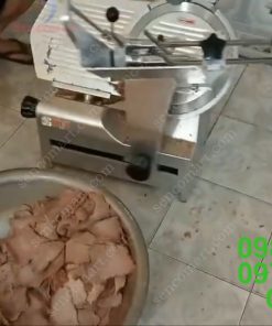 Máy Thái Thịt Chín Đông Lạnh SL300E - chi tiết máy 2