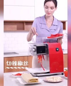 MÁY THÁI THỊT DQ90 - chi tiết máy 3