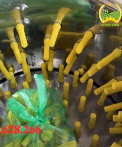 Bộ máy vặt lông gà vịt và nồi nhúng nước nóng - chi tiết máy 2