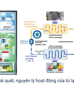 Nguyên Lý Hoạt Động Của Tủ Lạnh Dân Dụng Và Tủ Lạnh Công Nghiệp