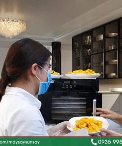 Xoài Sấy Dẻo Bằng Máy Sấy Thực Phẩm - chi tiết máy 2