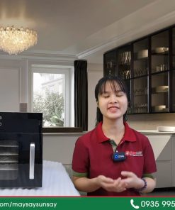 Xoài Sấy Dẻo Bằng Máy Sấy Thực Phẩm - chi tiết máy 3