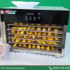 Xoài Sấy Dẻo Bằng Máy Sấy Thực Phẩm Mini Gia Đình