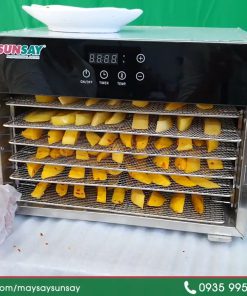Xoài Sấy Dẻo Bằng Máy Sấy Thực Phẩm Mini Gia Đình