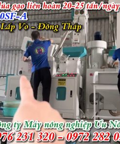 Hệ Thống Xay Xát Lúa Gạo Liên Hoàn 20SF Tại Lấp Vò Đồng Tháp