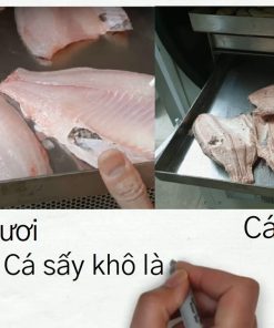 Sấy cá khô giữ nguyên hình dạng và màu sắc trong chế biến thủy sản