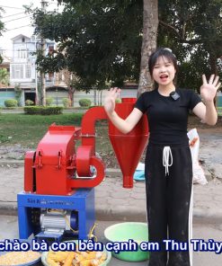 Máy Nghiền Thức Ăn Chăn Nuôi B24 - 1 Pha