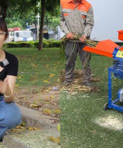 Hướng Dẫn Cách Dùng Máy Băm Nghiền Cỏ Nông Sản C300 - chi tiết máy 3