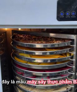 Máy Sấy Thực Phẩm BX20 20 Khay - chi tiết máy 2