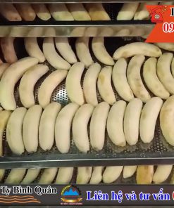 Máy sấy chuối 10 khay mini – Giá thành 18 triệu máy toàn bộ bằng inox