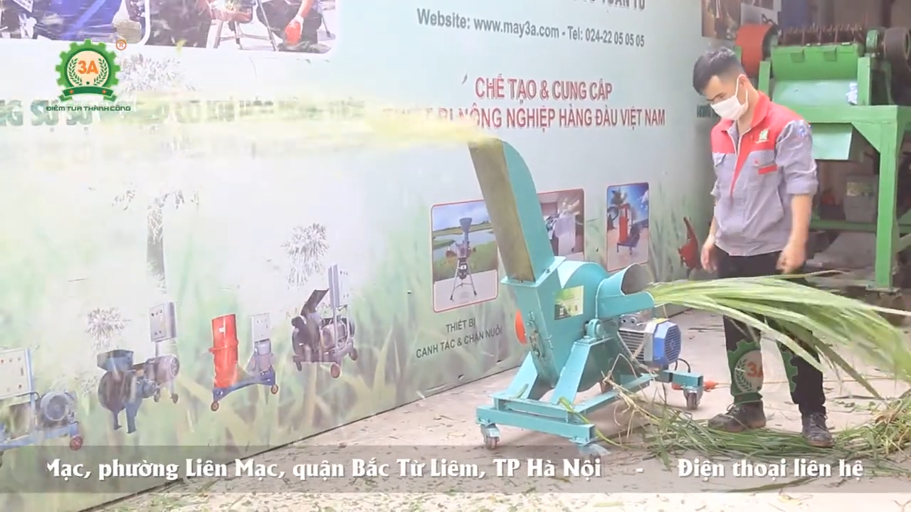 Máy băm cỏ voi, thân cây chuối 3A 3kW cho trang trại trâu bò quy mô vừa và nhỏ