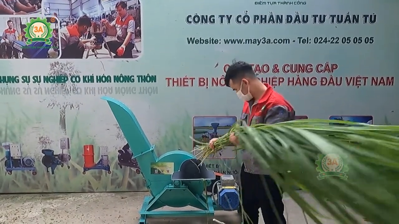 Máy băm cỏ voi, thân cây chuối 3A 3kW cho trang trại trâu bò quy mô vừa và nhỏ