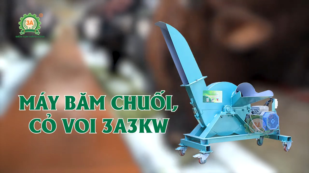 Máy băm cỏ voi, thân cây chuối 3A 3kW cho trang trại trâu bò quy mô vừa và nhỏ
