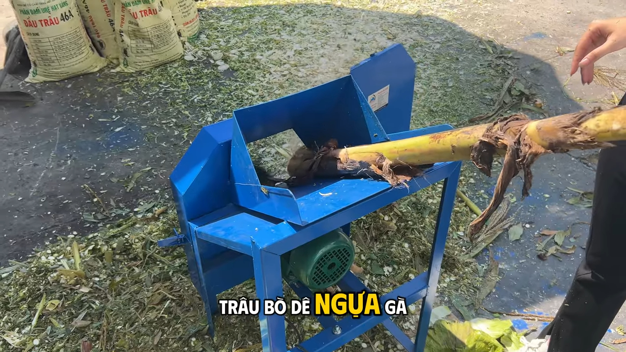 Máy băm cỏ vuông 750W