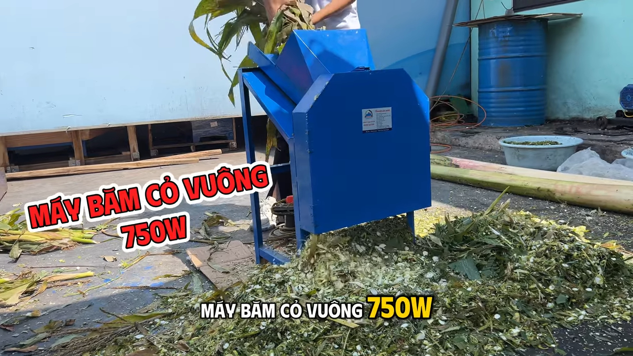 Máy băm cỏ vuông 750W