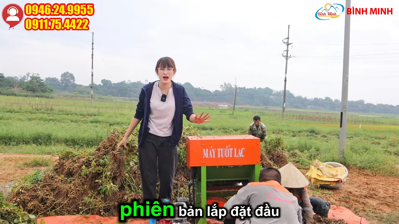 Máy tuốt lạc đầu nổ 6,5HP tách hạt lạc khỏi thân cây dùng tại ruộng