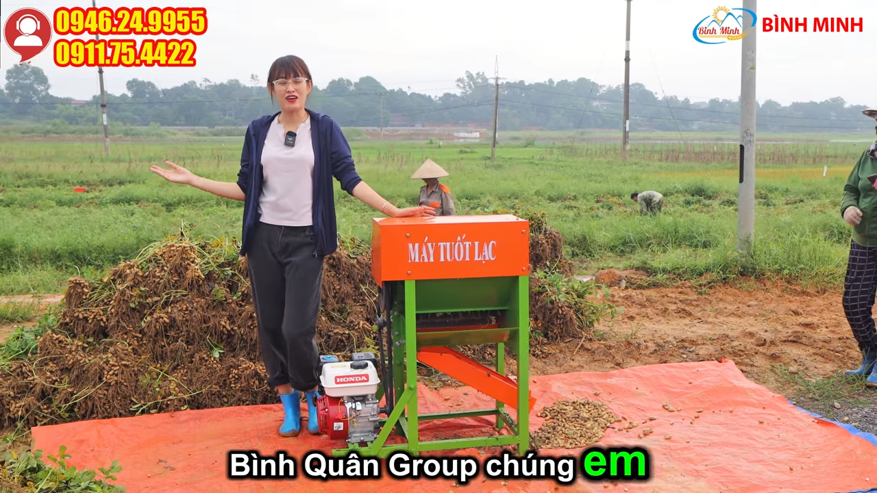 Máy tuốt lạc đầu nổ 6,5HP tách hạt lạc khỏi thân cây dùng tại ruộng