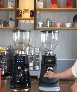 Máy xay cà phê Fiorenzato F64E - chi tiết máy 3