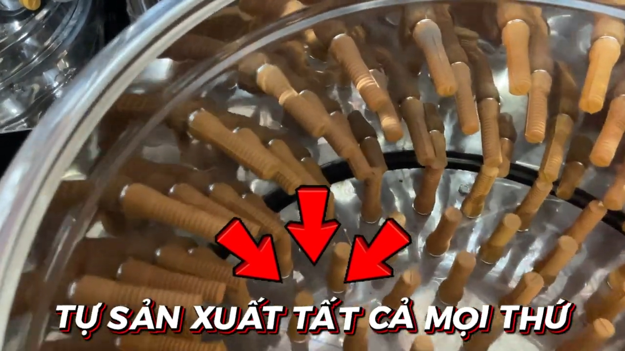 Máy vặt lông gà vịt cải tiến – tách lông gia cầm bằng lồng quay cao su