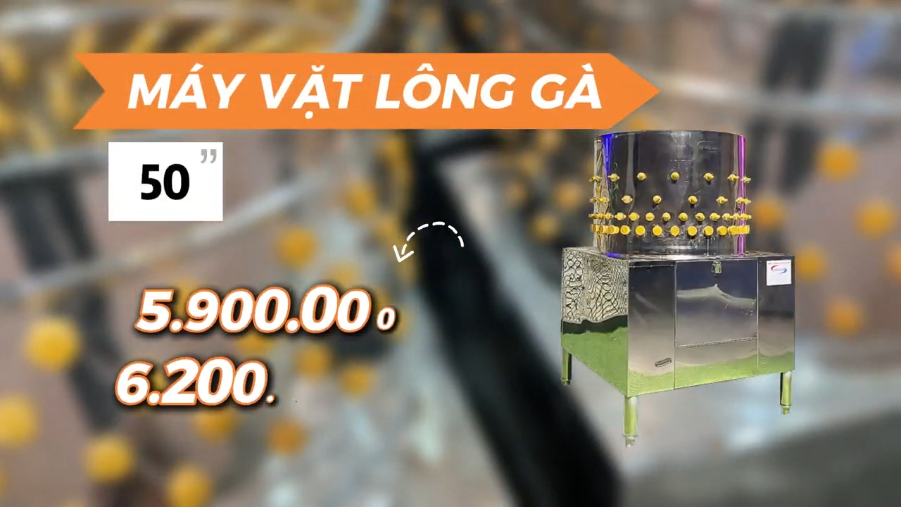 Máy vặt lông gà vịt cải tiến – tách lông gia cầm bằng lồng quay cao su