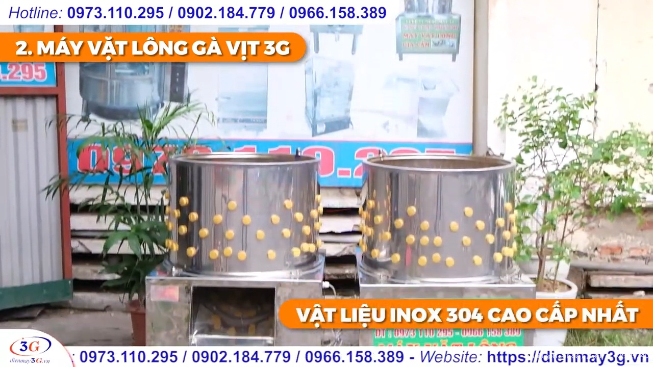 Combo nồi nhúng gà vịt dùng điện và máy vặt lông gà vịt