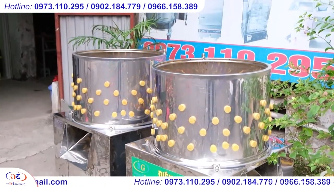 Combo nồi nhúng gà vịt dùng điện và máy vặt lông gà vịt