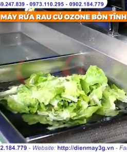 Bàn Giao Máy Rửa Rau Củ Quả Sục Khí Ozone Tại Long Biên, HN